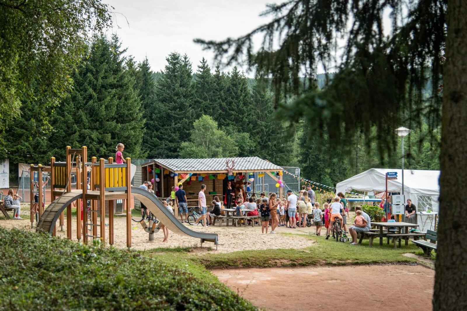 Отель Ardenparks Petite Suisse Dochamps Экстерьер фото
